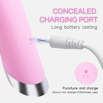 Sonic Facial Cleansing Brush VIP